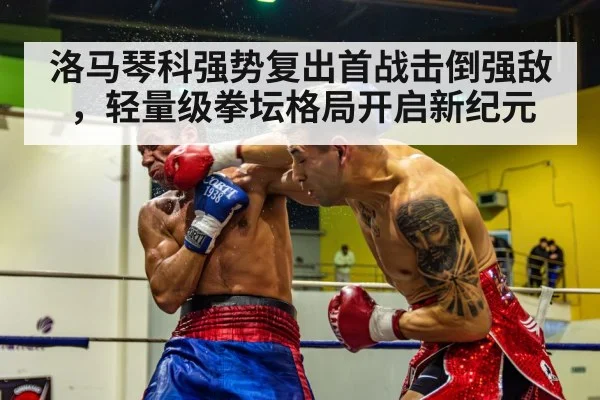 boxer knockout punch